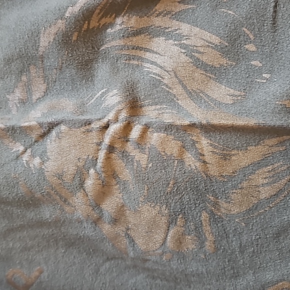 Express - Picture 4 of 4